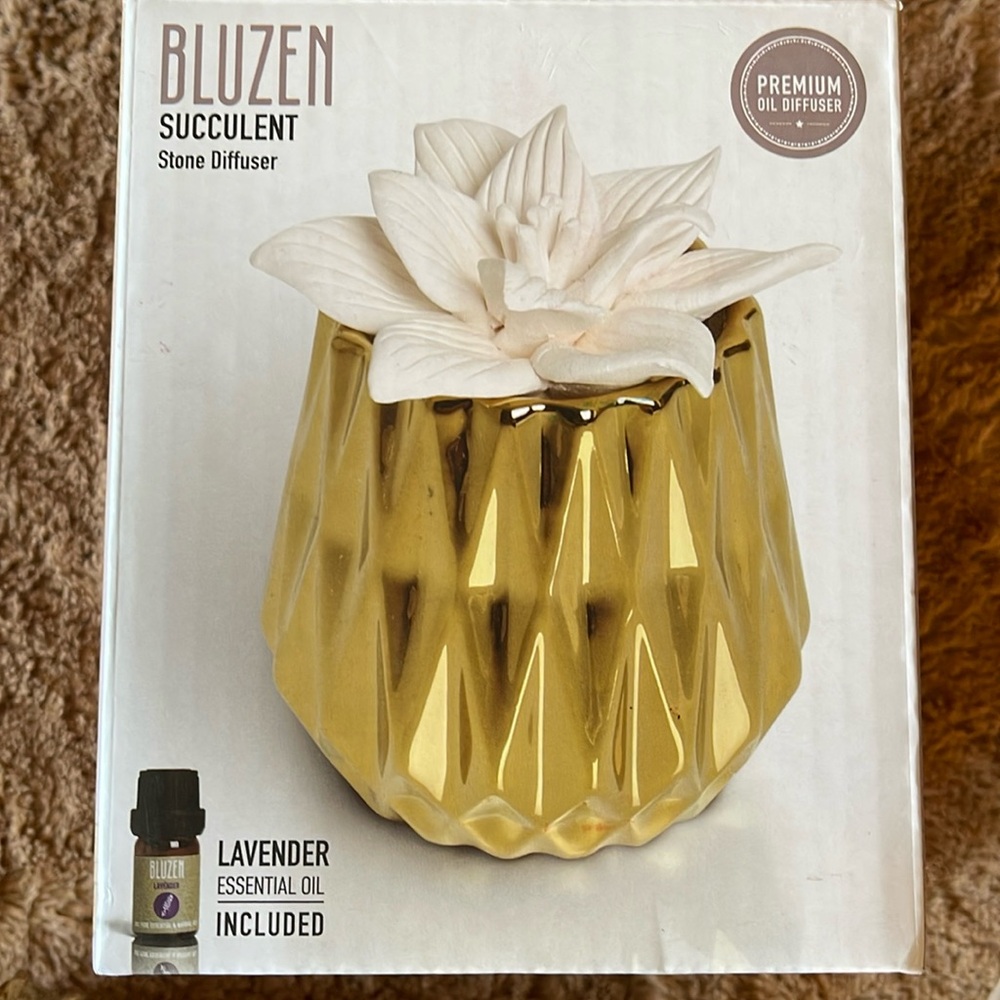 Bluzen Succulent Stone Diffuser. Beautiful gold and white. Ceramic rope wicker.